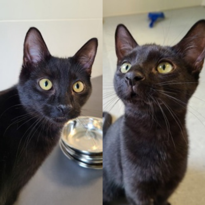 Untitled design Untitled design