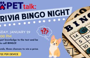 Trivia 2026 Trivia 2026