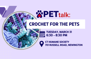 2025 homepage buttons.png crochet new