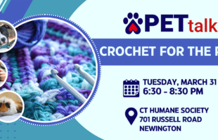 2026 Outreach_PETtalk Crochet for the Pets 2026 2026 Outreach_PETtalk Crochet for the Pets 2026
