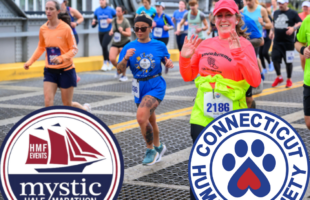 Mystic HMF Photo Mystic HMF Photo