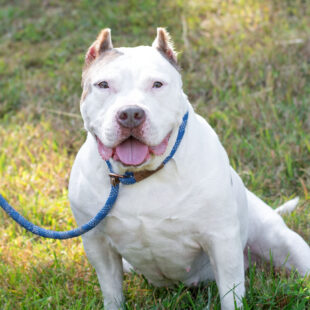 54787722109_391fe58877_o