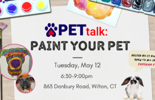 Outreach PETtalk Paint Your Pet Workshop (3)