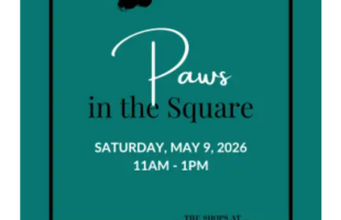 Paws in the Square