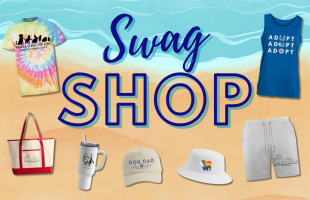 July - August 2026 Swag Shop Website Promo