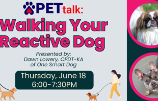 PETtalk Reactive Dogs (2) PETtalk Reactive Dogs (2)