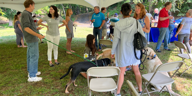 people and dogs under a canopy