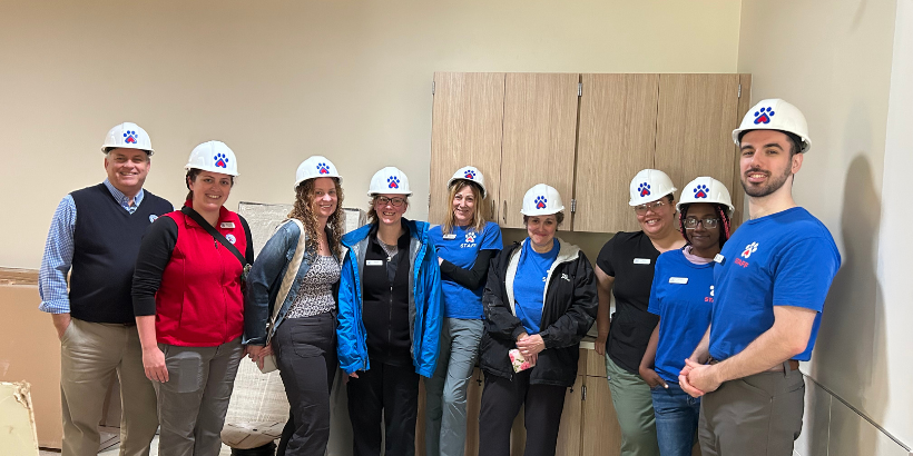 people in hard hats