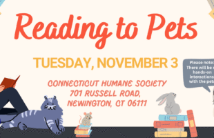 R2P Newington November